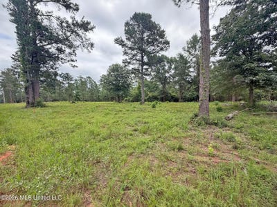 /international/us/5-acres-old-63-n-highway-lot-2-lucedale-ms-110108549243/