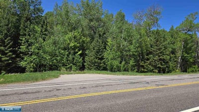 /international/us/tbd-21-nett-lake-rd-orr-mn-110106812739/