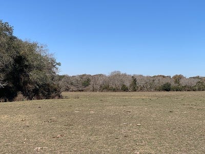 /international/us/tbd-county-road-253-weimar-tx-110105703622/