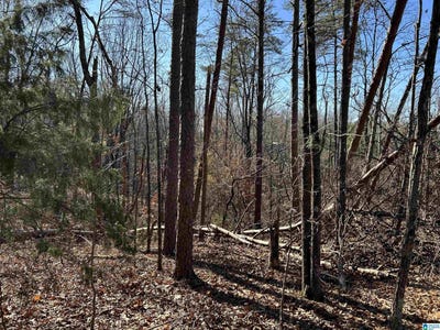 /international/us/113-n-highland-drive-lot-10-columbiana-al-110104297617/