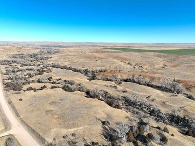 /international/us/drive-359-palisade-ne-110105200891/