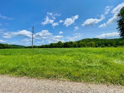 /international/us/angus-road-kimbolton-oh-110101011554/