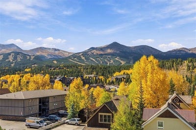 /international/us/301-n-french-street-breckenridge-co-110120533252/