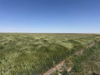 /international/us/000-e-road-250-dighton-ks-110108029014/