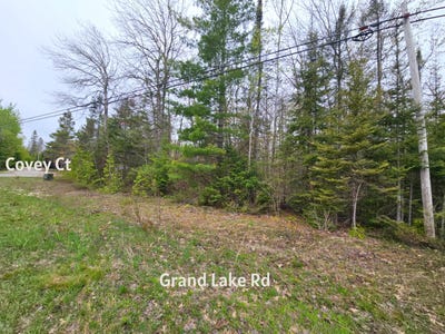 /international/us/esau-terrace-lot-204-presque-isle-mi-110108359315/