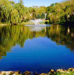 /international/us/1005-lakefront-drive-lexington-ky-110109005508/