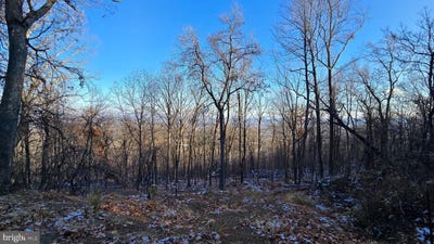 /international/us/arran-ln-hedgesville-wv-110104067476/