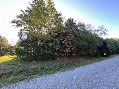 /international/us/001-hand-cove-road-lot-9-10-11-elizabeth-ar-110103358128/