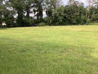 /international/us/1253-s-forest-ave-luverne-al-110092783511/