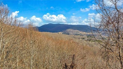 /international/us/tbd-20-townview-street-west-jefferson-nc-110106255407/