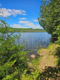 /international/us/1441-range-line-lake-ln-wabeno-wi-110108976155/
