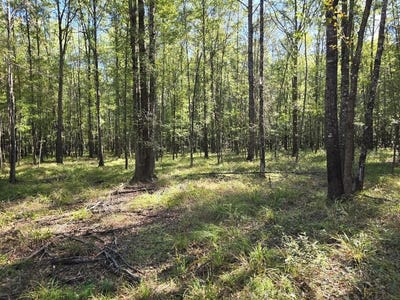 /international/us/000-dogtown-lane-hazlehurst-ms-110101349269/?lang=zh-tw