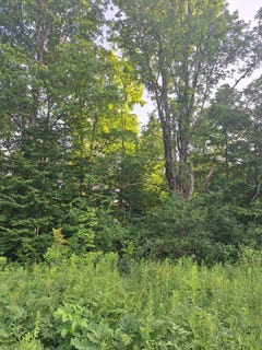 /international/us/00-14-mile-rd-leroy-mi-110101180577/?lang=zh-tw