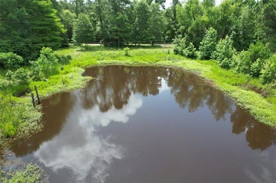 /international/us/18-17-acres-cr-1190-grapeland-tx-110100162541/?lang=zh-cn