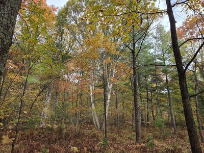/international/us/lot-8-french-road-beecher-wi-110103099952/