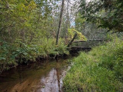 /international/us/22313-10-mile-road-reed-city-mi-110110379795/