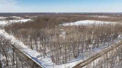 /international/us/0-hagaman-rd-chesterfield-il-110105199325/