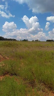 /international/us/tbd-lot-44-cr-127-carlton-tx-110098651565/?lang=zh-tw