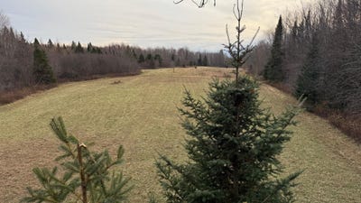 /international/us/off-park-rd-s-butternut-wi-110107631901/