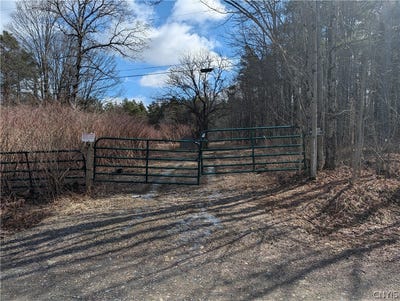 /international/us/154-moon-hill-road-mc-donough-ny-110107213525/
