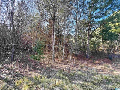 /international/us/832-11th-avenue-pleasant-grove-al-110105707845/