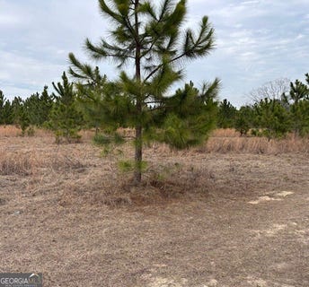 /international/us/oakridge-church-road-tifton-ga-110105732855/