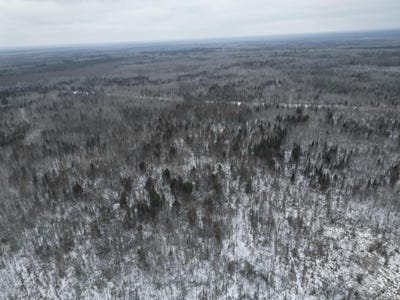 /international/us/us-71-big-falls-mn-110104780663/
