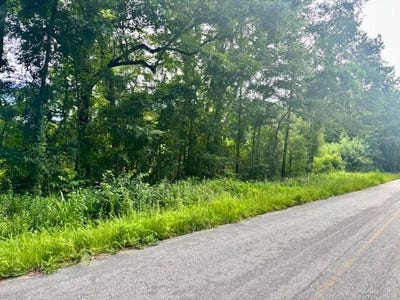 /international/us/8946-anderson-road-adams-run-sc-110100300192/?lang=pt