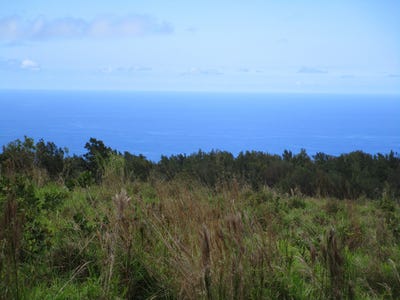 /international/us/36-660-spencer-rd-laupahoehoe-hi-110107876144/