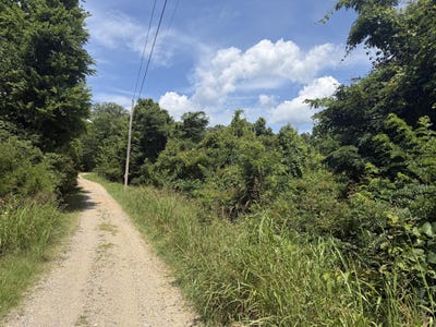 /international/us/301-n-fairview-dr-vicksburg-ms-110108551115/