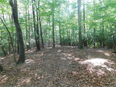 /international/us/lot-2-sweet-apple-lane-dahlonega-ga-110100835671/