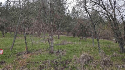 /international/us/tbd-pine-st-blk-56-lot-2-peck-id-110091696380/?lang=zh-tw