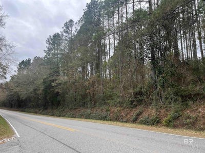 /international/us/3000-block-n-pine-barren-road-mcdavid-fl-110104838683/