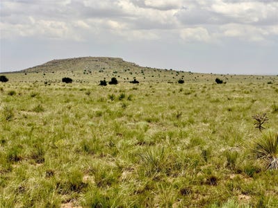 /international/us/martinez-pintada-ranch-santa-rosa-nm-110100551050/