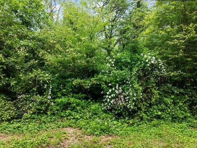 /international/us/0-horton-st-lot-26-dighton-ma-110100125671/
