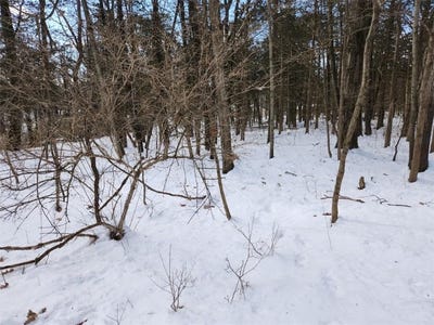 /international/us/shaw-rd-off-oxford-blooming-grove-ny-110090160053/