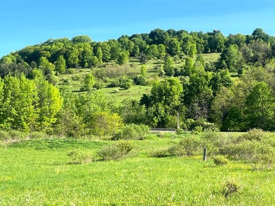 /international/us/1-2-county-road-29-new-berlin-ny-110102821719/