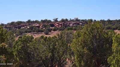 /international/us/9880-texas-lane-show-low-az-110108207757/