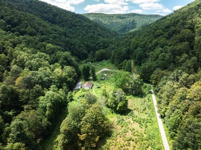 /international/us/3595-licking-creek-road-parsons-wv-110098130055/?lang=zh-tw