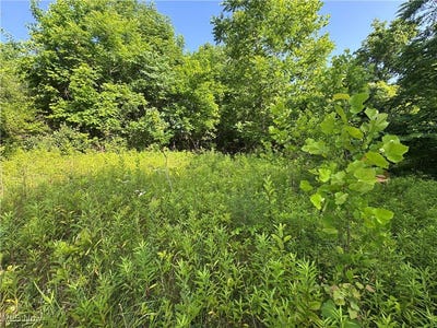 /international/us/10170-pierson-lane-mcconnelsville-oh-110100799716/