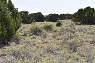 /international/us/18-crest-lane-concho-az-110090693085/