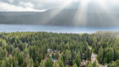 /international/us/60-spruce-lane-ronald-wa-110099539468/