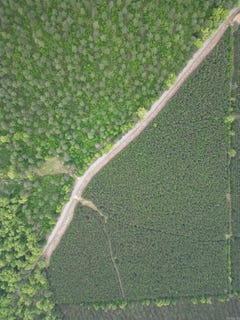 /international/us/172-highway-monticello-ar-110119790662/