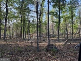 /international/us/507-easter-ridge-lane-winchester-va-110107537693/