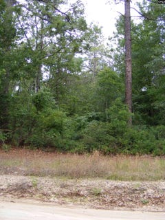 /international/us/412-sells-court-pelion-sc-110099980809/?lang=pt