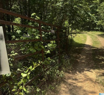 /international/us/county-road-61-lot-7-8-fruithurst-al-110119319377/