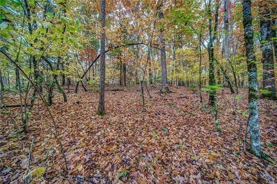 /international/us/543-cove-lake-drive-marble-hill-ga-110107885204/