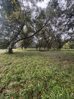 /international/us/highway-65-lot-3-tallulah-la-110110222263/