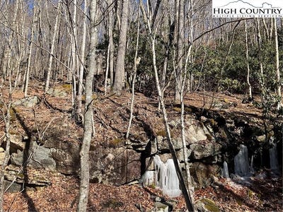 /international/us/117-smoketree-road-beech-mountain-nc-110104547185/