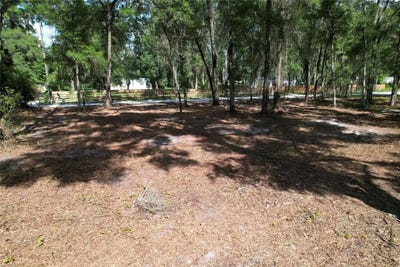 /international/us/se-30th-avenue-summerfield-fl-110120412542/